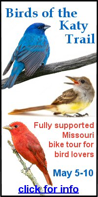 Birds of Missouri fully supported tour